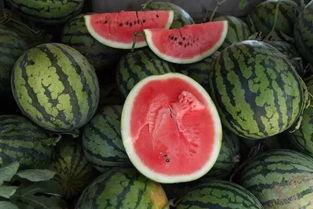 趴着的吃瓜群众,吃瓜群众的热议焦点